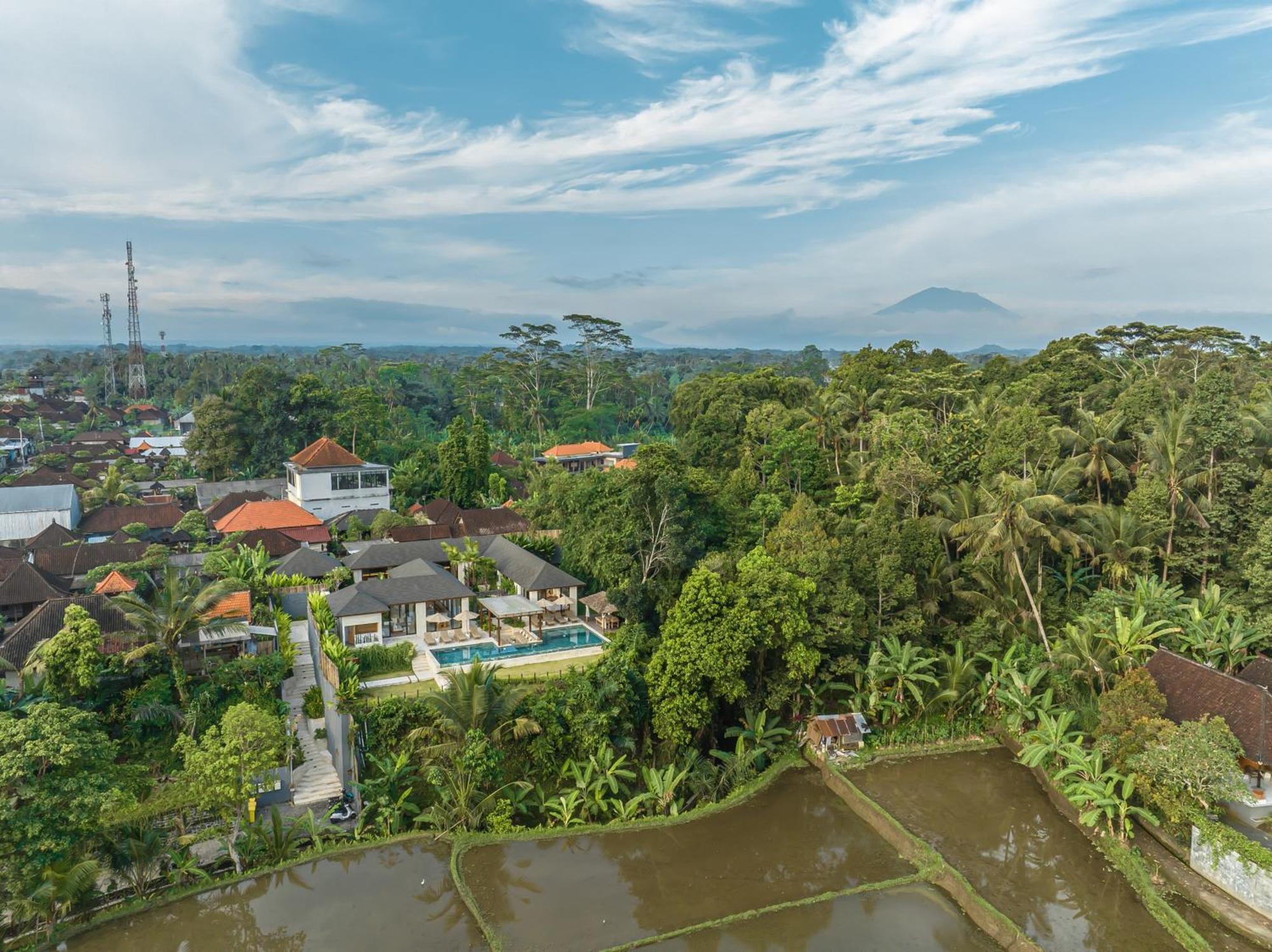 Rosita - Stunning 5br - Sauna, Gym, Rice Field Views *