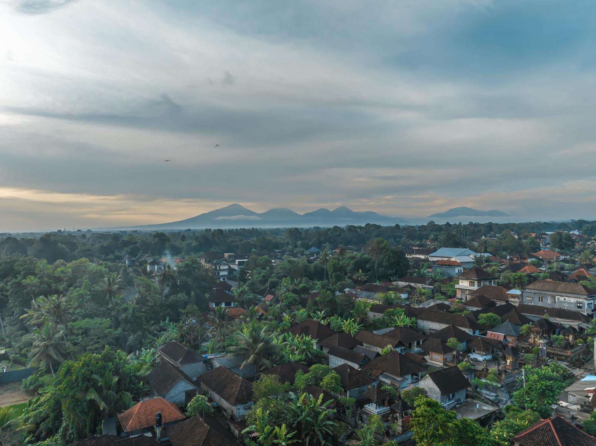 Rosita - Stunning 5br - Sauna, Gym, Rice Field Views *